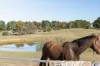 1181 Bungendore Road, Bywong, NSW 2621-Image