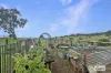1188 Millaa Millaa Malanda Road, Tarzali, Qld 4885-Image