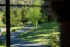 1188 Padman Drive, West Albury, NSW 2640-Image