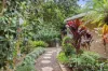 119-121 Beacon Road, Tamborine Mountain, Qld 4272-Image