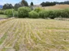 119 Fourfoot Road, Geeveston, Tas 7116-Image