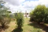 119 Molesworth Street, Tenterfield, NSW 2372-Image