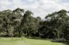 119 Old Gippsland Road, Lilydale, Vic 3140-Image