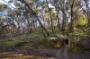 119 Rabbages Road, Yapeen, Vic 3451-Image