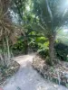 119 Seventh Avenue, Home Hill, Qld 4806-Image