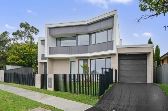 119 Young Road, Lambton, NSW 2299