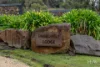 11903 Tasman Highway, Rocky Hills, Tas 7190-Image