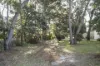 1196 Greens Beach Road, Kelso, Tas 7270-Image