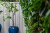 11A Byron Street, Leederville, WA 6007-Image