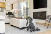 11A Hansworth Street, Mulgrave, Vic 3170-Image