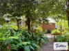 11A Homerule Road, Rossville, Qld 4895-Image
