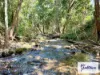 11A Homerule Road, Rossville, Qld 4895-Image