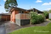 11A Mint Street, Wantirna, Vic 3152-Image