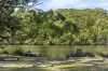 11A Torquay Drive, Lake Tabourie, NSW 2539-Image