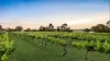 11B Burton Avenue, Park Holme, SA 5043-Image