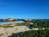 11B Hutt Court, Two Rocks, WA 6037-Image