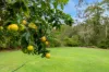 12-14 Kiwi Street, Sheldon, Qld 4157-Image