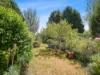 12 - 14 Main Street, St Marys, Tas 7215-Image