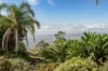 12-14 Rosewall Court, Mount Kynoch, Qld 4350-Image