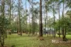 12 Aclare Road, Cockatoo, Vic 3781-Image