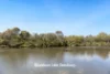12 Agnew Street, Blackburn South, Vic 3130-Image