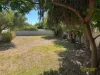 12 Alexander Avenue, Berrigan, NSW 2712-Image