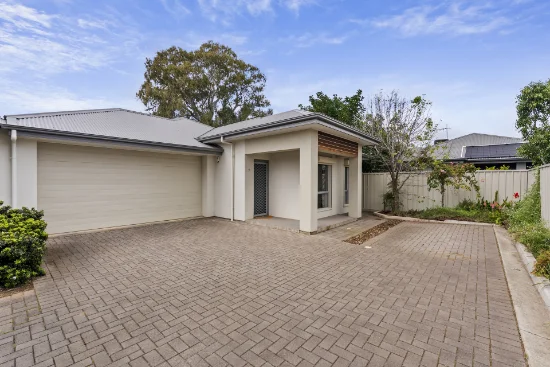 12 Alua Grove, Morphettville, SA 5043
