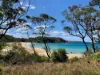 12 Amaroo Avenue, Barragga Bay, NSW 2546-Image