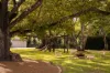 12 Aminga Street, Fig Tree Pocket, Qld 4069-Image