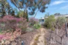 12 Anne Street, Mannum, SA 5238-Image
