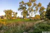 12 Aramon Street, Nuriootpa, SA 5355-Image