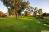 12 Aramon Street, Nuriootpa, SA 5355-Image