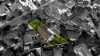 12 Arcadian Circuit, Carlingford NSW 2118-Image