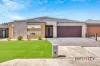 12  Armadale Court, Tarneit, Vic 3029