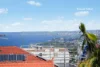 12 Arthur Street, Dover Heights, NSW 2030-Image