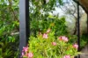 12 Augustins Crescent, Petrie, Qld 4502-Image
