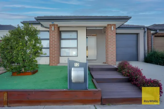 12 Badger Grove, Tarneit, Vic 3029