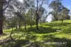 12 Bailey Street, Korumburra, Vic 3950-Image
