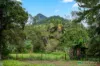 12 Barrs Road, Glass House Mountains, Qld 4518-Image