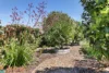 12 Bayside Street, Blue Haven, NSW 2262-Image