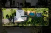 12 Beerburrum Street, Landsborough, Qld 4550-Image