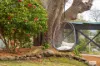 12 Belmore Street, Bega, NSW 2550-Image