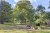 12 Boise Court, Tamborine Mountain, Qld 4272-Image
