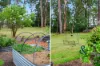 12 Boyd Boulevard, Medowie, NSW 2318-Image