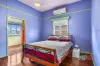 12 Briggs Street, Palmwoods, Qld 4555-Image