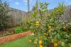12 Brunckhorst Drive, Kearneys Spring, Qld 4350-Image