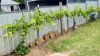 12 Camp Street, Coonabarabran, NSW 2357-Image