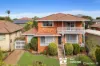 12 Carnegie Road, Chester Hill, NSW 2162-Image