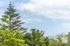 12 Charles Street, Milton, NSW 2538-Image
