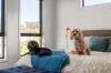 12 Chilton Street, Casey, ACT 2913-Image